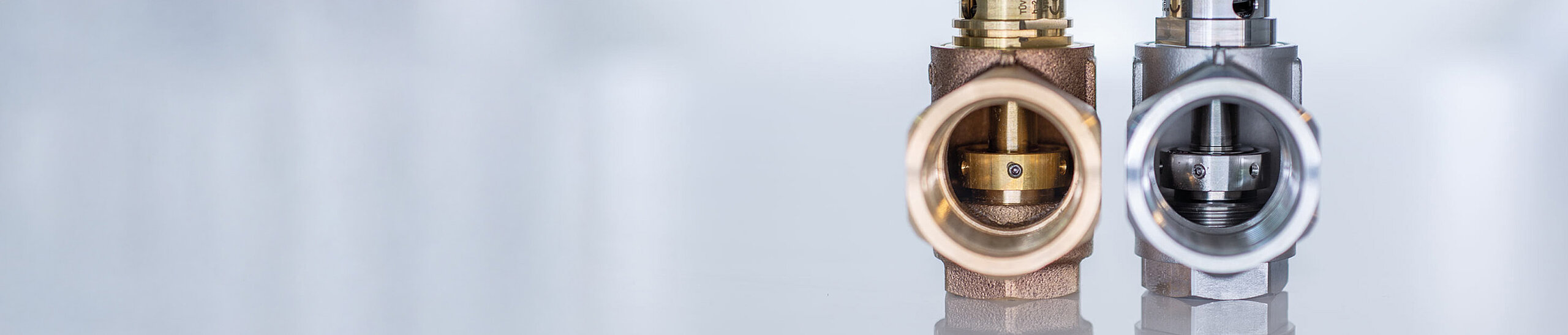 Pièces d'un générateur de vapeur CERTUSS